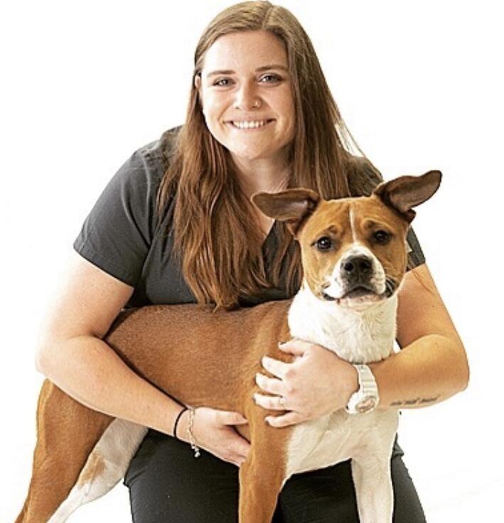 Jessie’s Pet Sitting & Dog Walking Service - Nextdoor