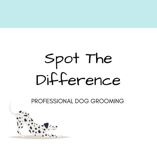 Spot The Difference Dog Grooming Wigan Nextdoor