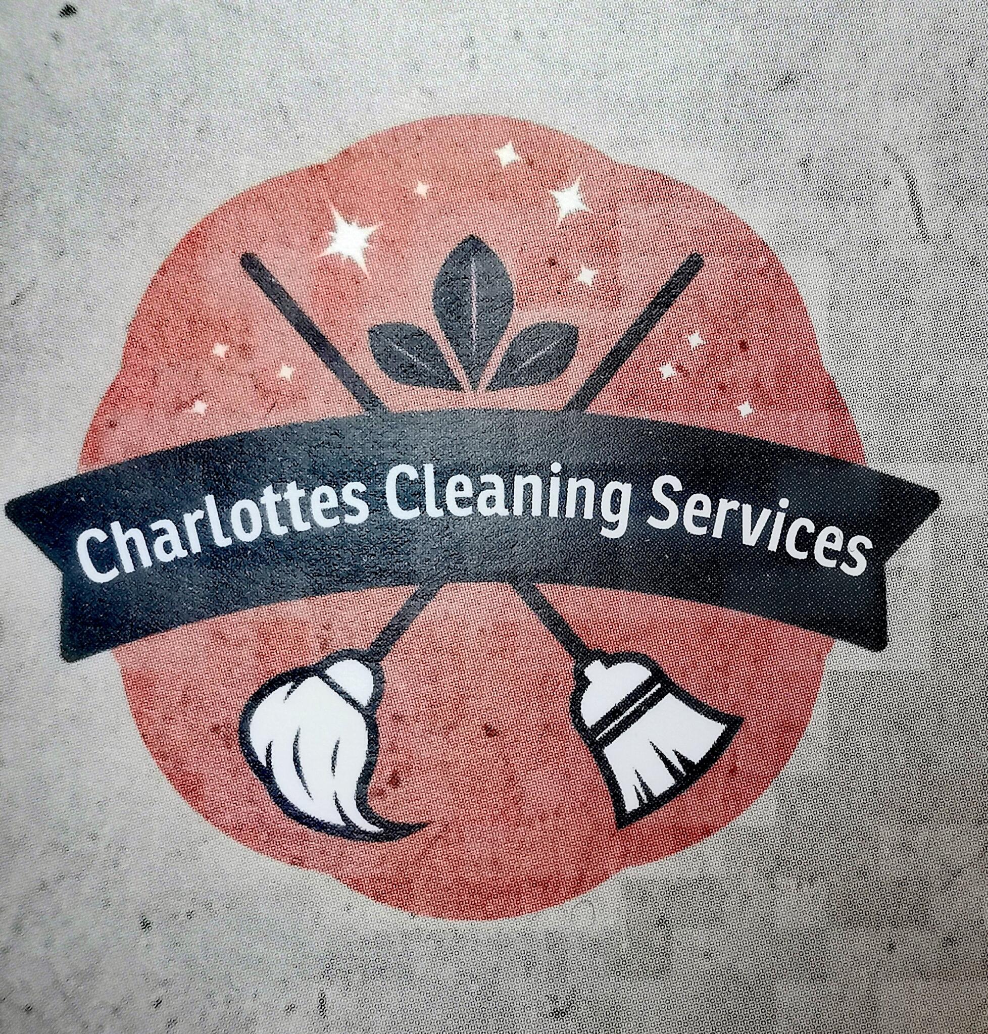 Charlotte Recchia Cleaning Services York Nextdoor