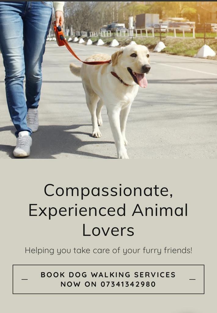 Pups & Mutts. Out of many One breed. West Drayton Nextdoor