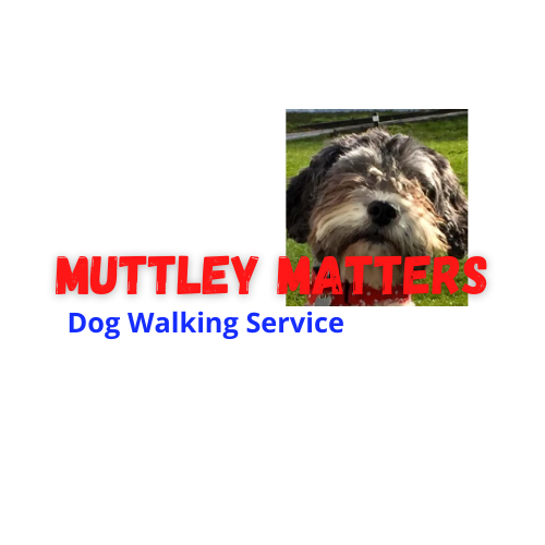 Muttley Matters Malvern Dog Walking Malvern Nextdoor