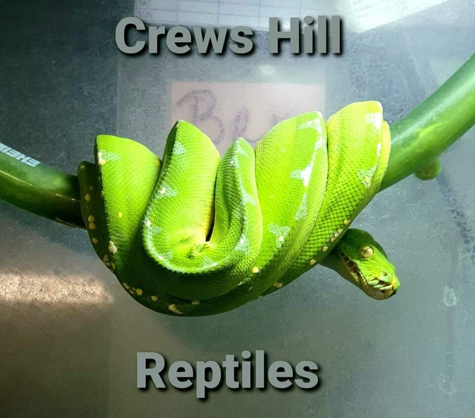 Crews Hill Reptiles - London - Nextdoor