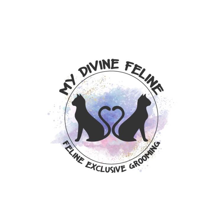 Feline divine cat store grooming