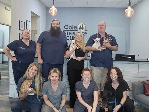 Cole Veterinary Clinic: Stewart Dawn M DVM - Jacksonville Beach, FL ...