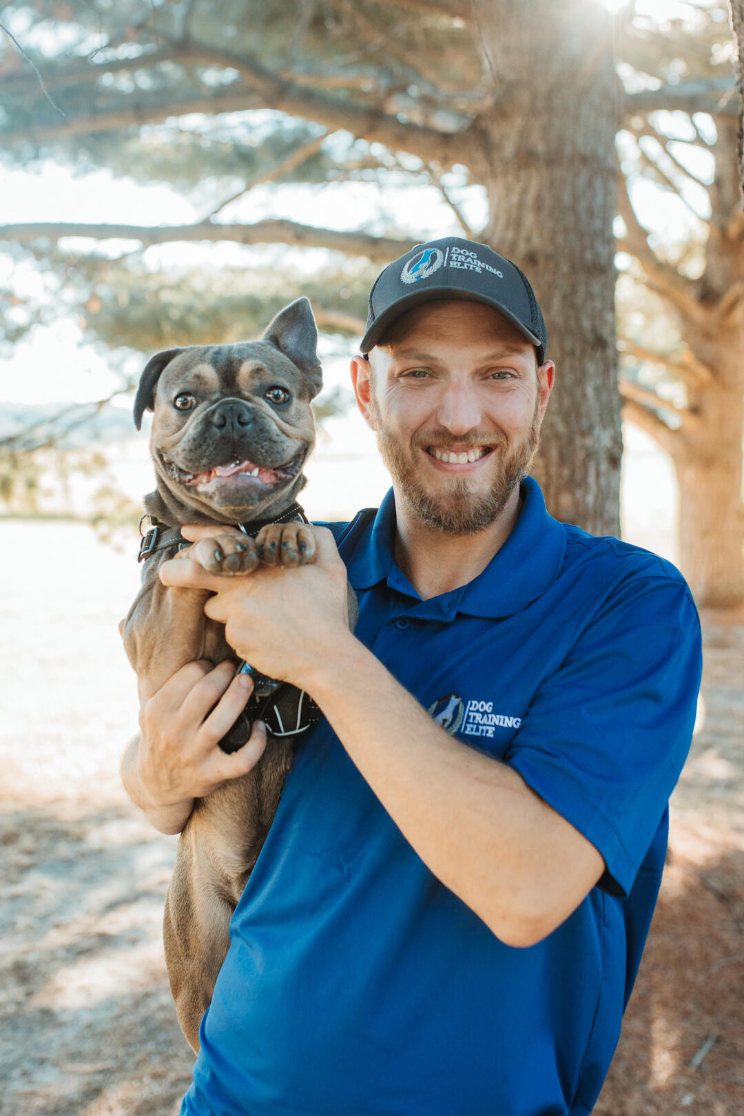 dog-training-elite-of-northern-michigan-traverse-city-mi-nextdoor