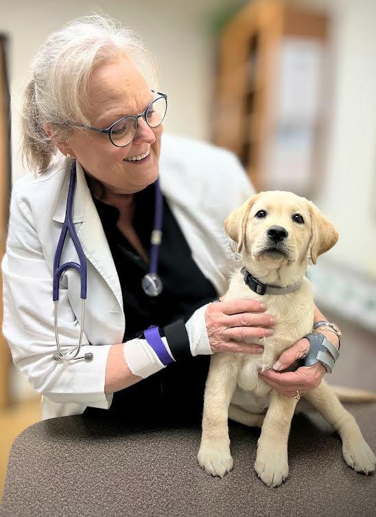 Homestead Farm, Centennial Trick or Treat Map and Everything You