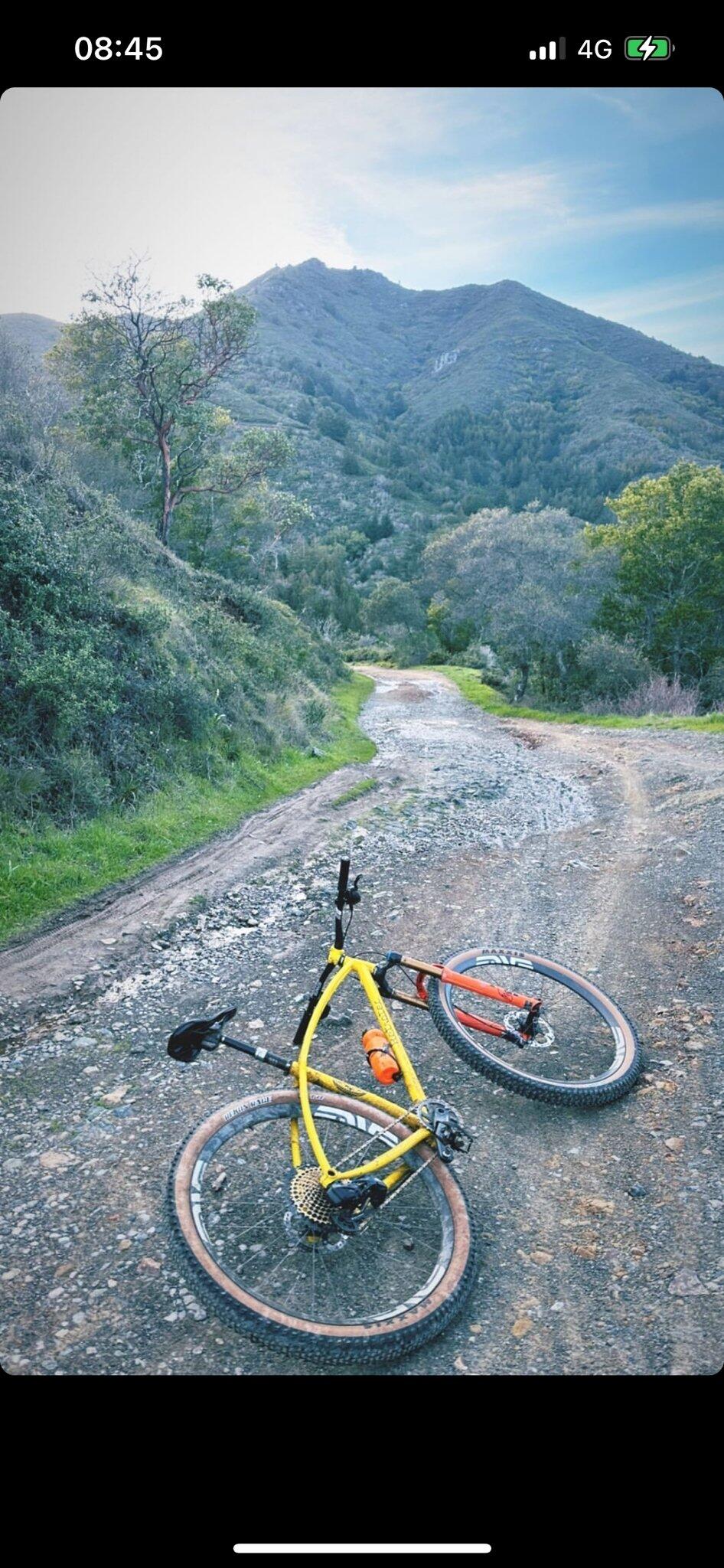 BOBS BIKESWarwick Bike Rental Warwick, GBENG Nextdoor