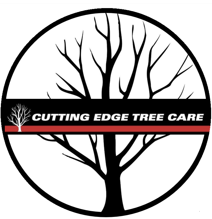 cutting-edge-tree-care-lafayette-co-nextdoor