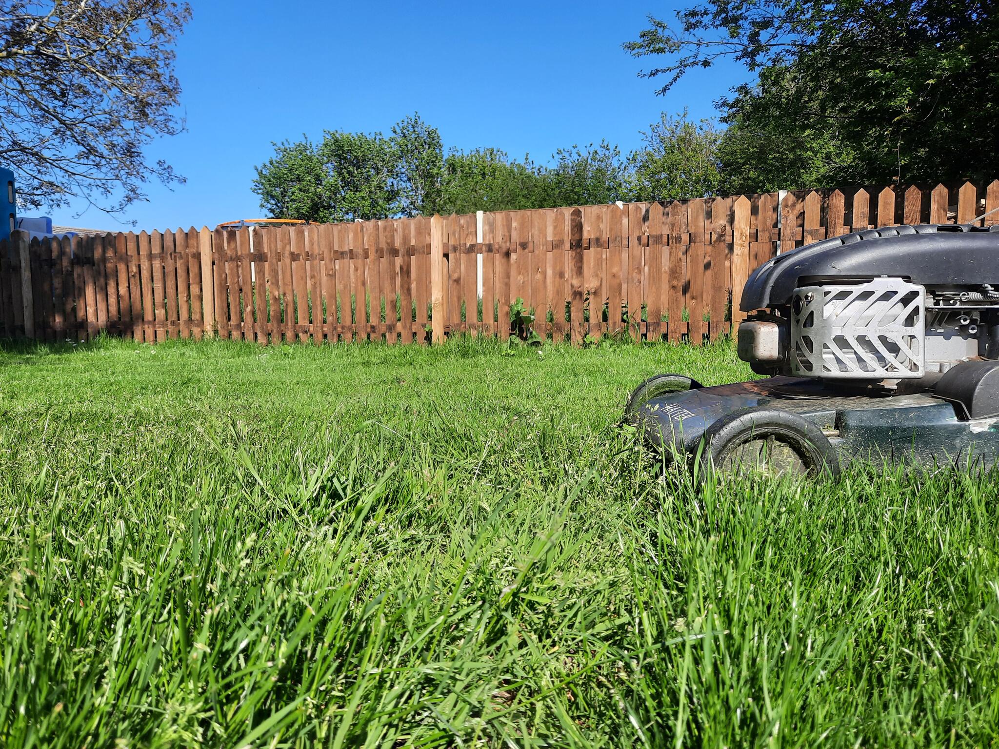 Green Turf Solutions Diss, England Nextdoor
