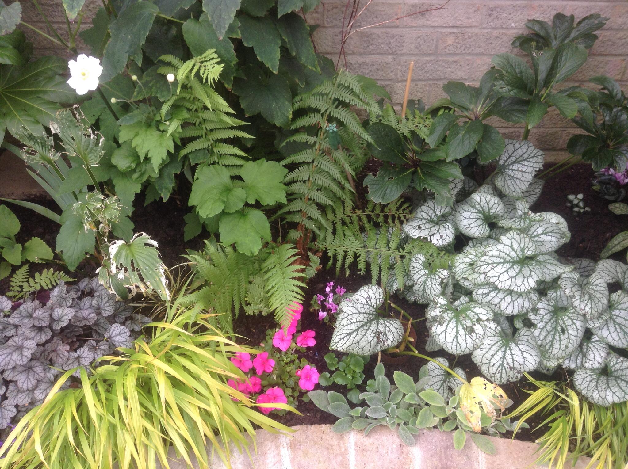 Catkins Garden Maintenance Bristol, GBENG Nextdoor