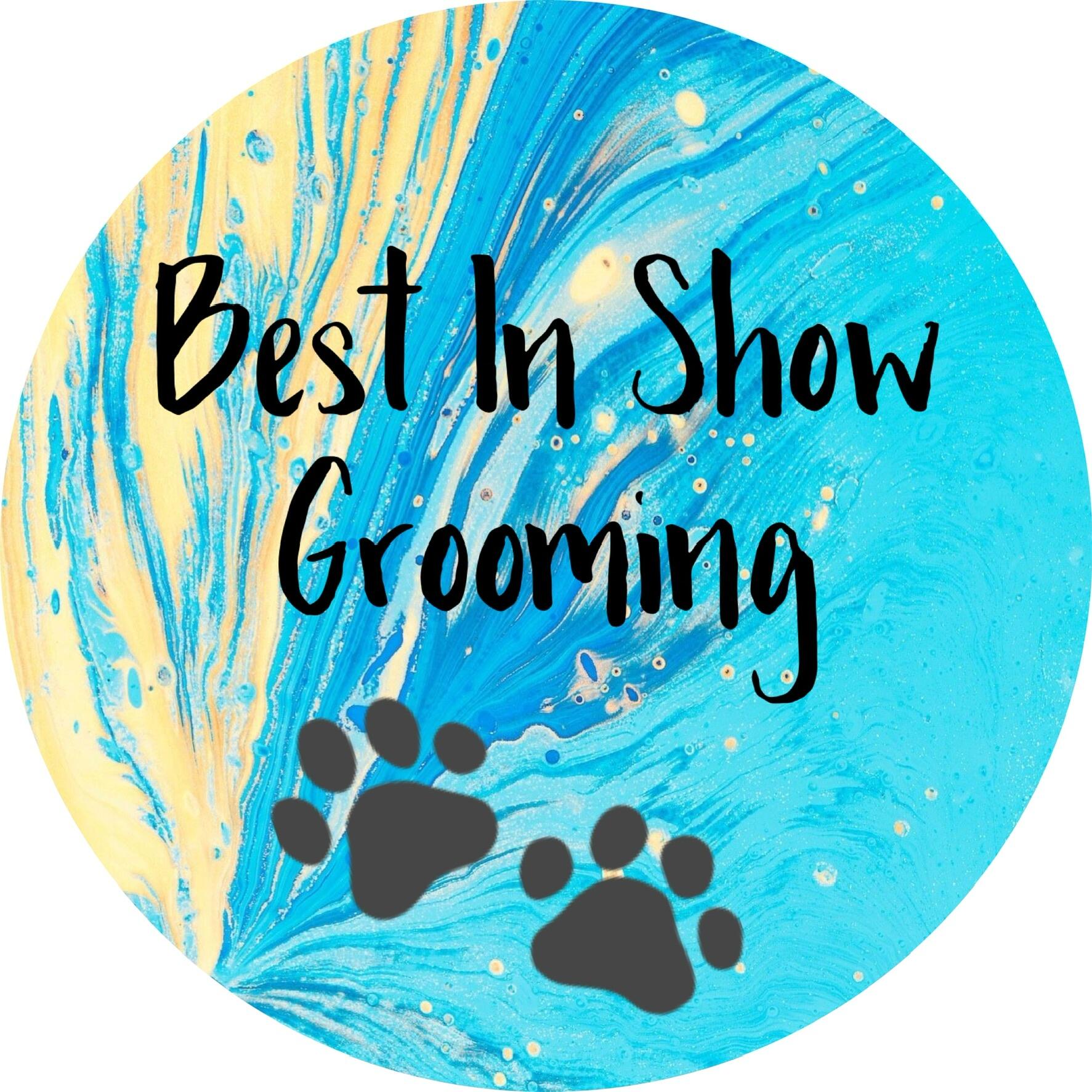 Best in best sale show dog grooming