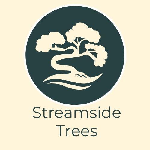 Streamside trees fleet nextdoor