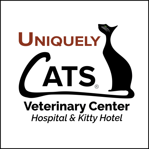 Carefree cats hot sale veterinary hospital