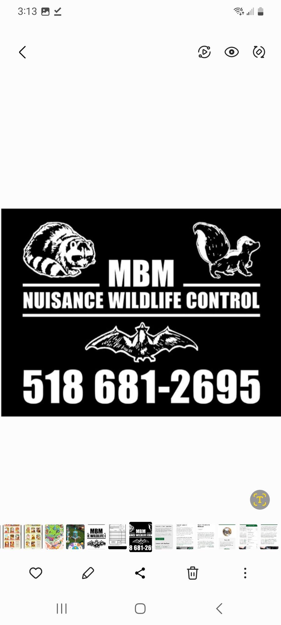 MBM Nuisance Wildlife Control Nextdoor