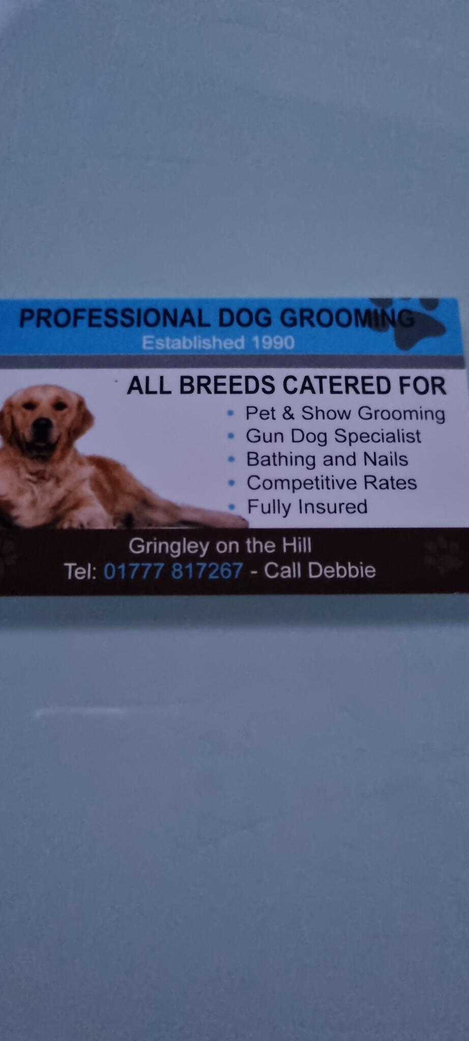 Professional Dog Grooming services Doncaster Nextdoor