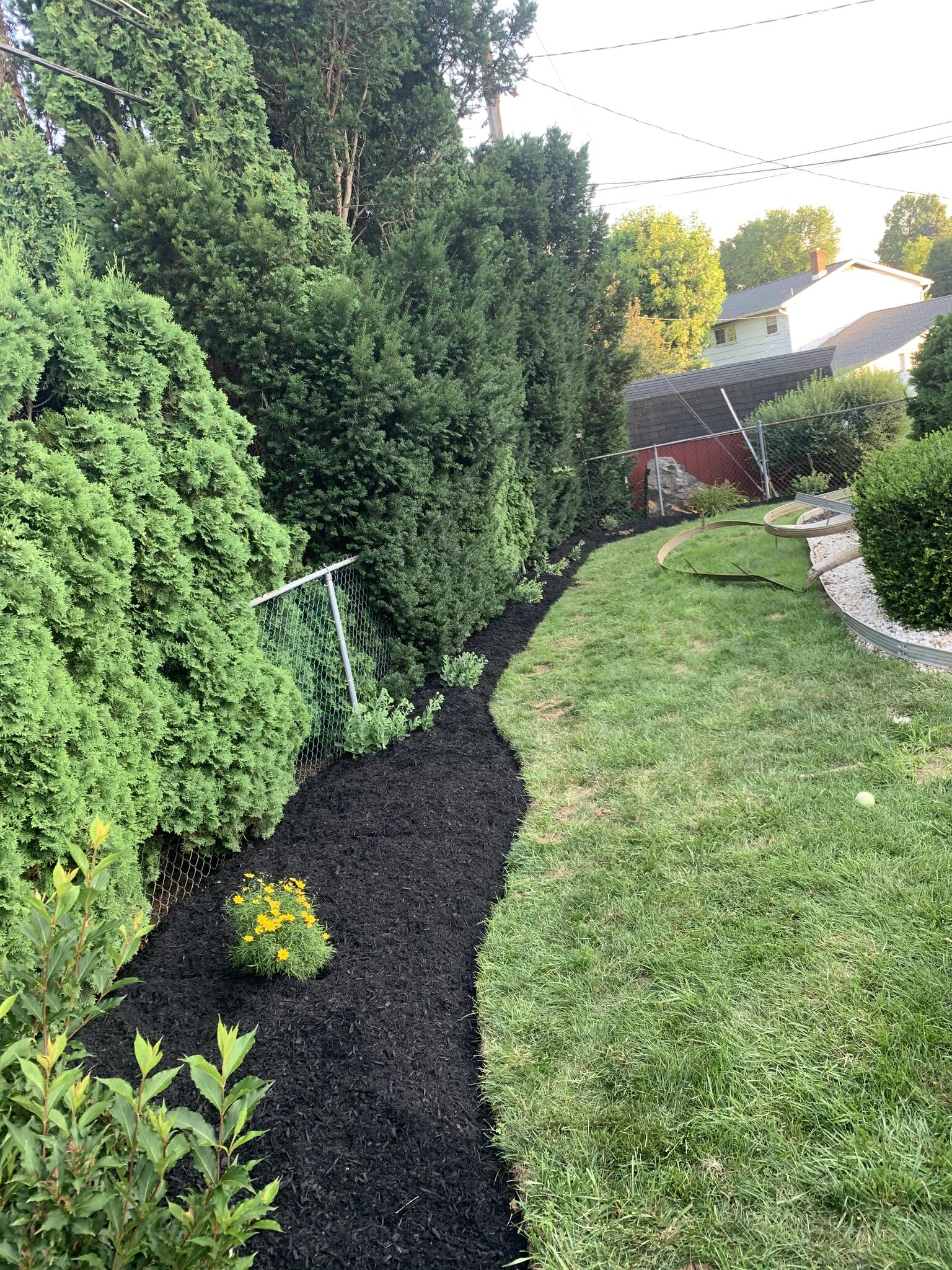 M&S Lawn And Landscape Allentown, PA Nextdoor