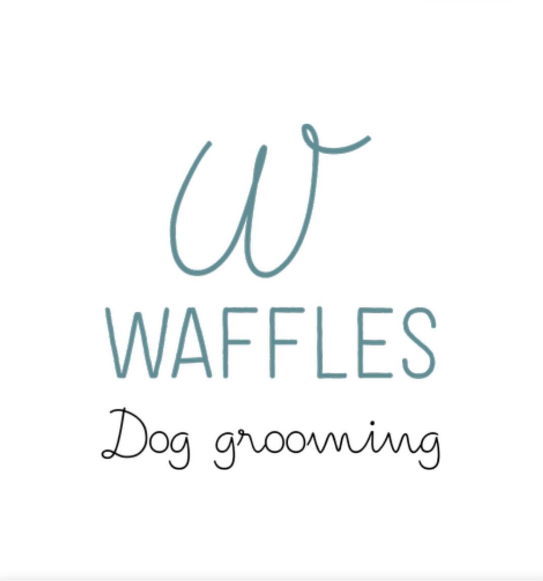 waffles Dog Grooming Lincoln Nextdoor