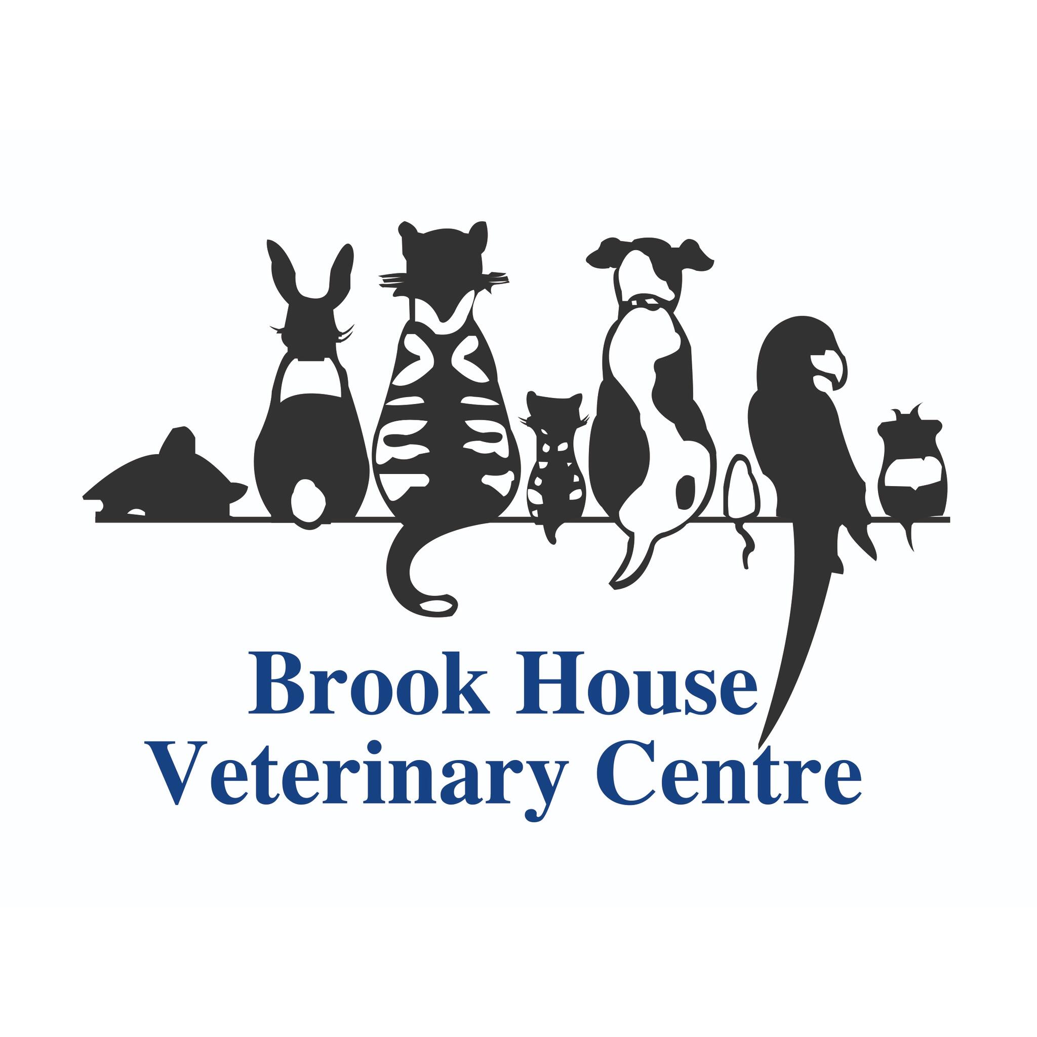 Brook House Veterinary Centre Shirley Southampton Nextdoor