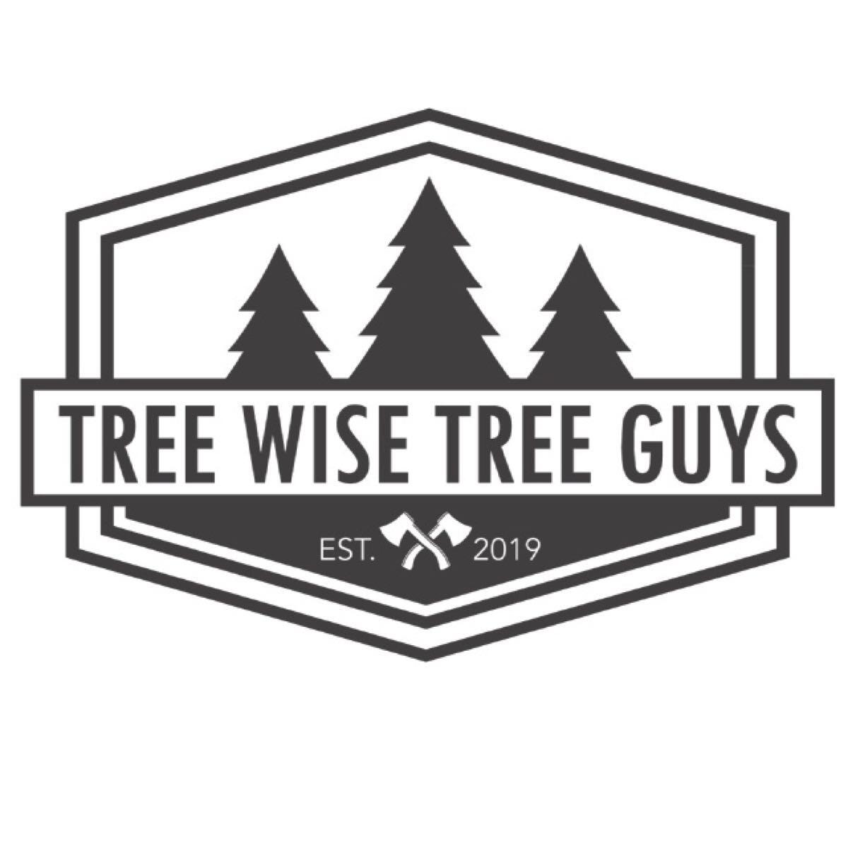 Tree Wise Tree Guys Nextdoor