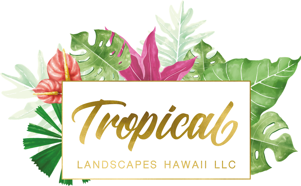 Tropical Landscapes Hawaii LLC - Nextdoor