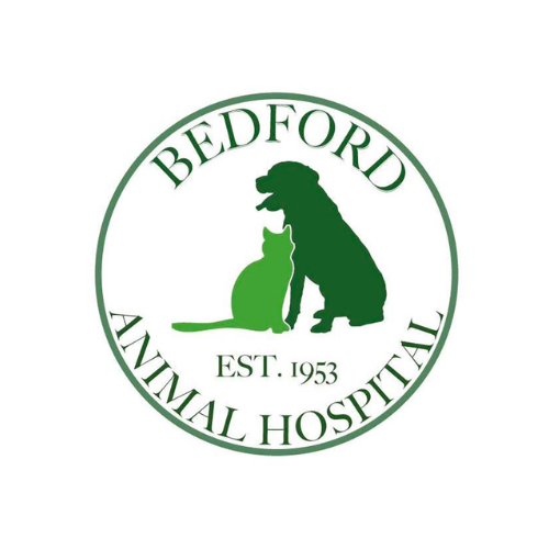 Bedford animal hospital bedford nh nextdoor
