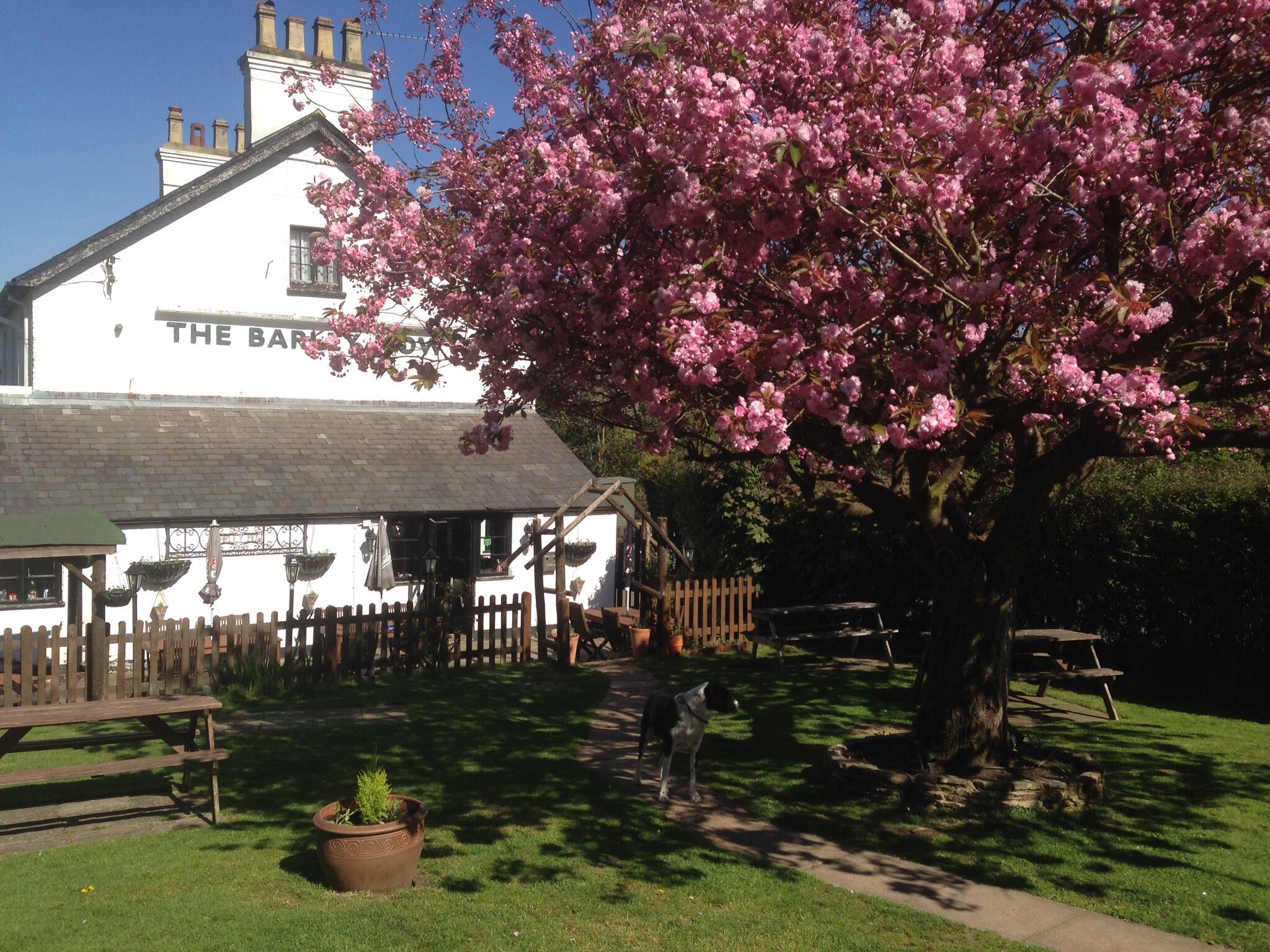 The Barley Mow Farnham Nextdoor