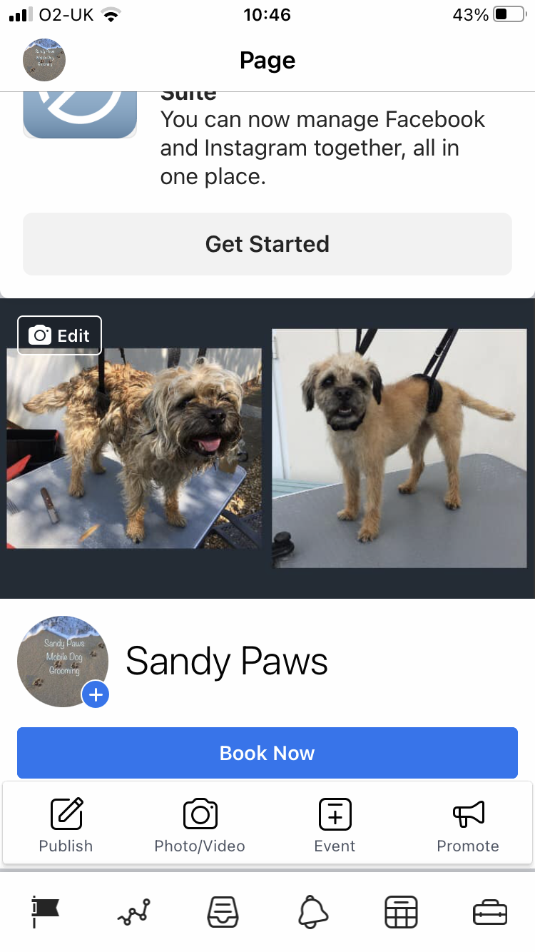 Sandy Paws Torquay Nextdoor