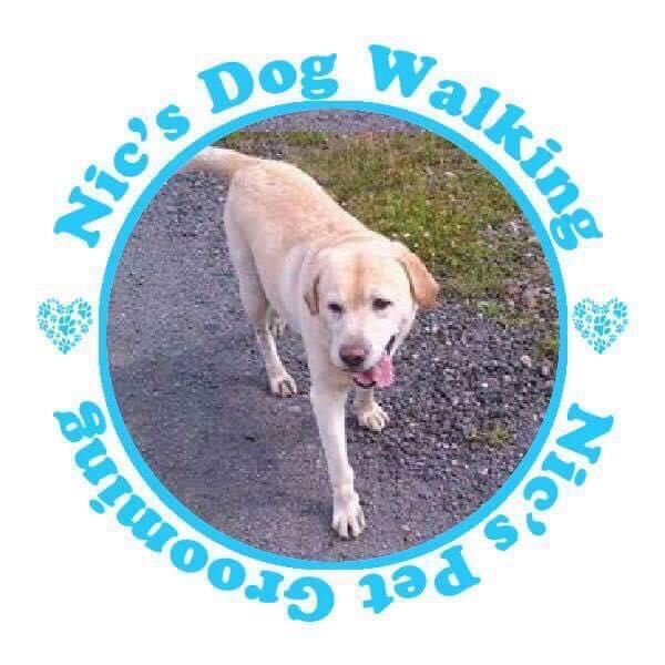 Nic’s dog walking Newcastle Upon Tyne Nextdoor