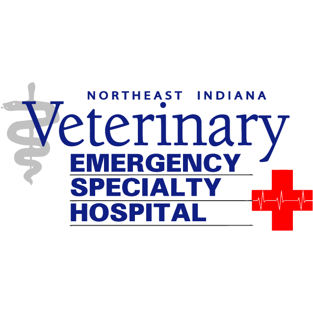 Veterinary and emergency specialty hot sale hospital