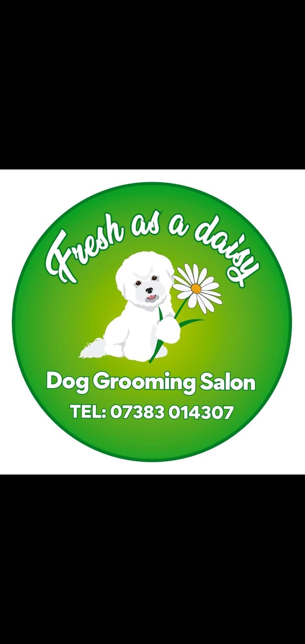 As fresh as a daisy dog grooming salon Skipton Nextdoor