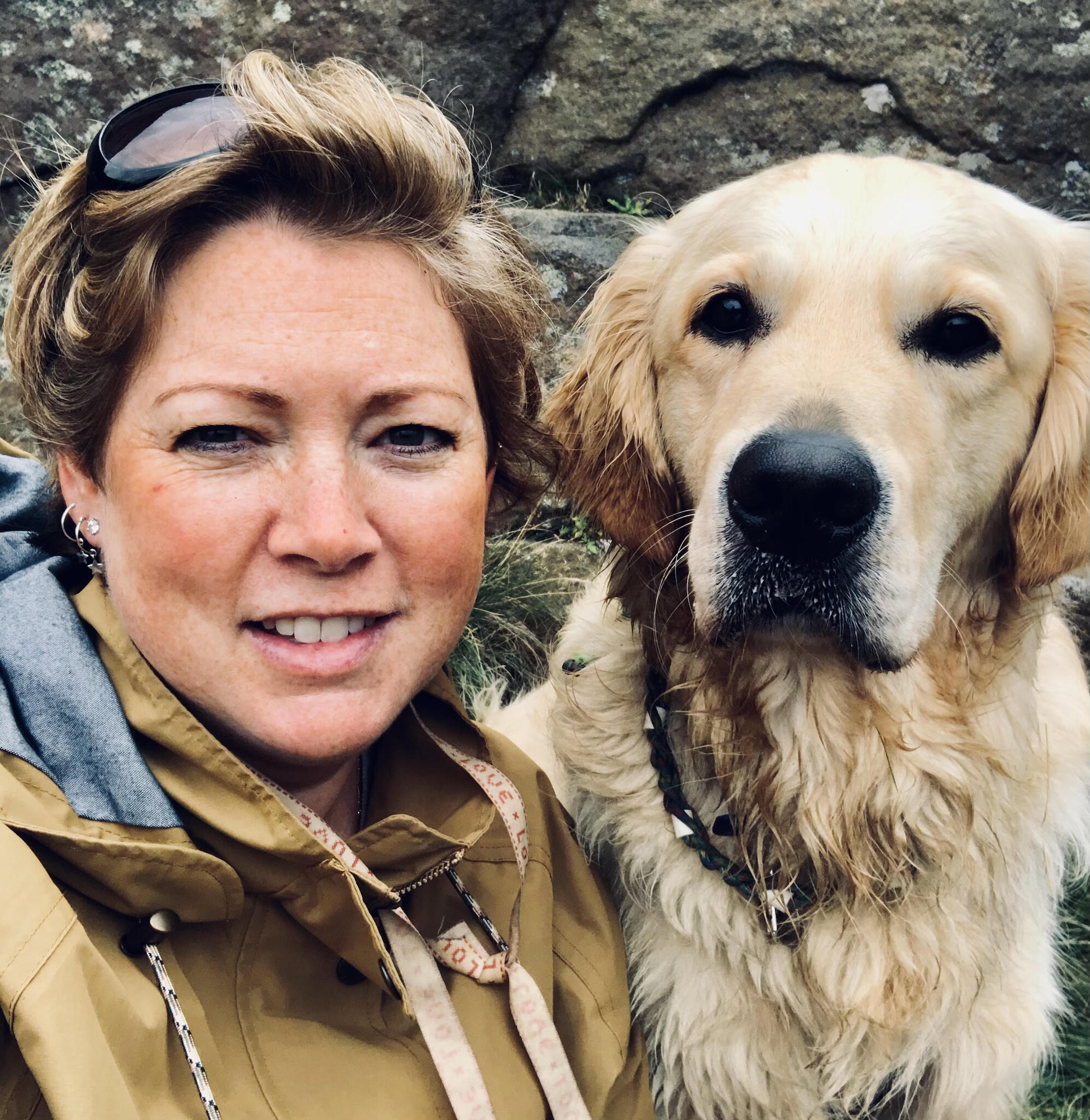 The K9 Chiro Harrogate, GBENG Nextdoor