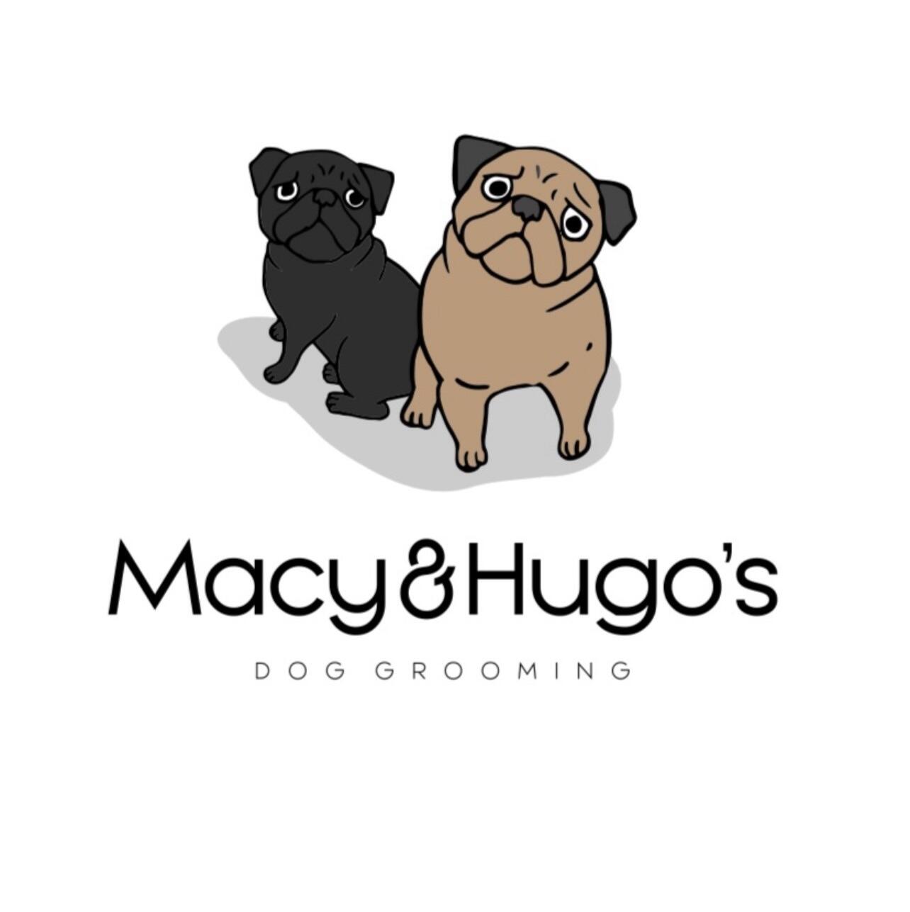 Macy & Hugo’s mobile Dog Grooming NW3 London, GBENG Nextdoor
