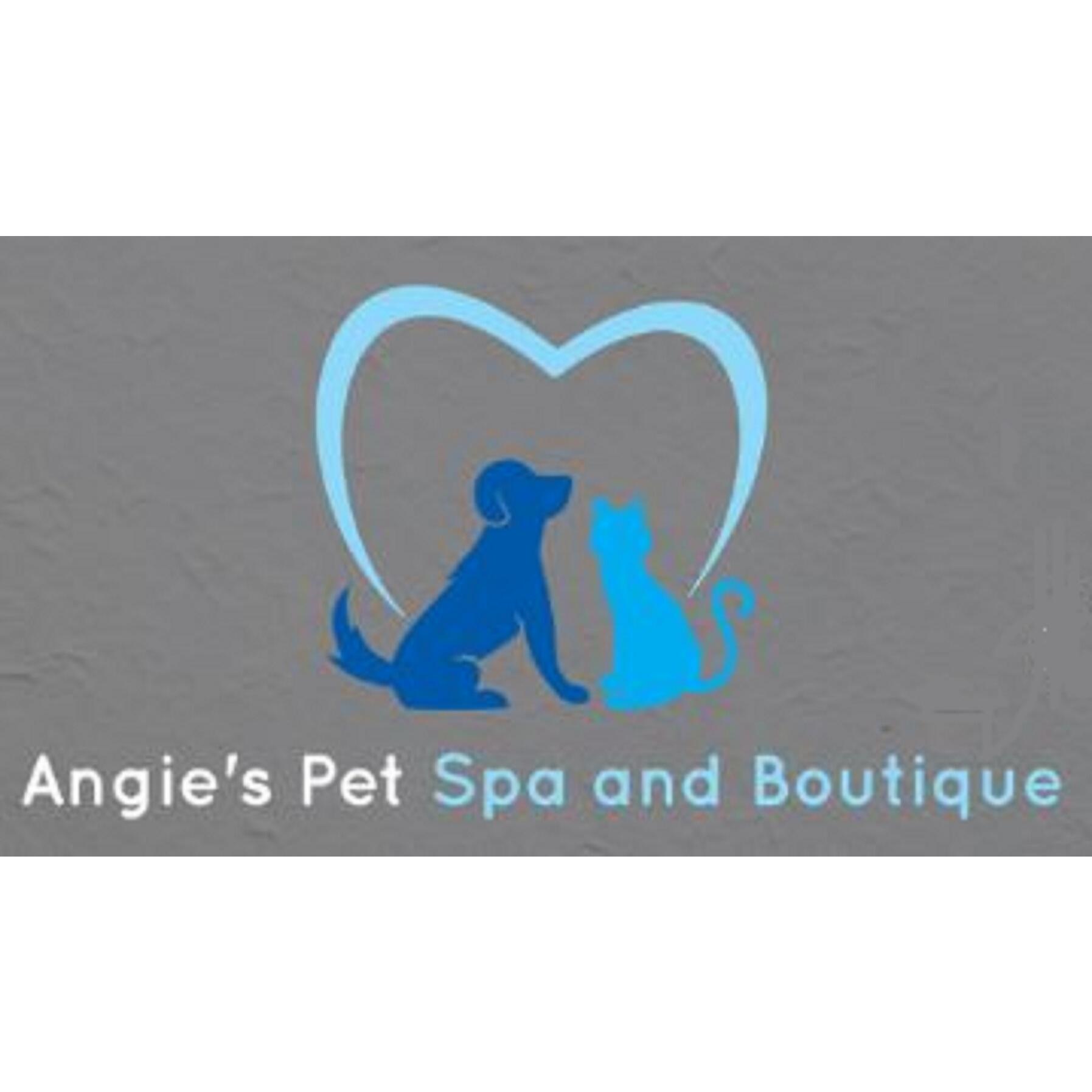 Vice Pet Grooming Hollywood FL Nextdoor