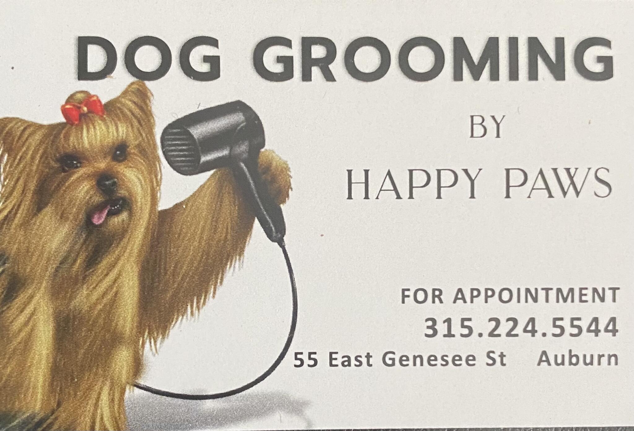 Happy cheap paws groomer