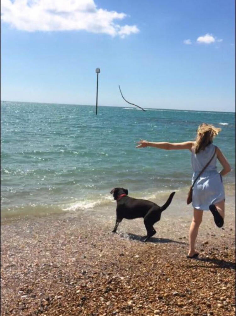 Kelly’s Dog Walking, Daycare & Boarding Esher Nextdoor