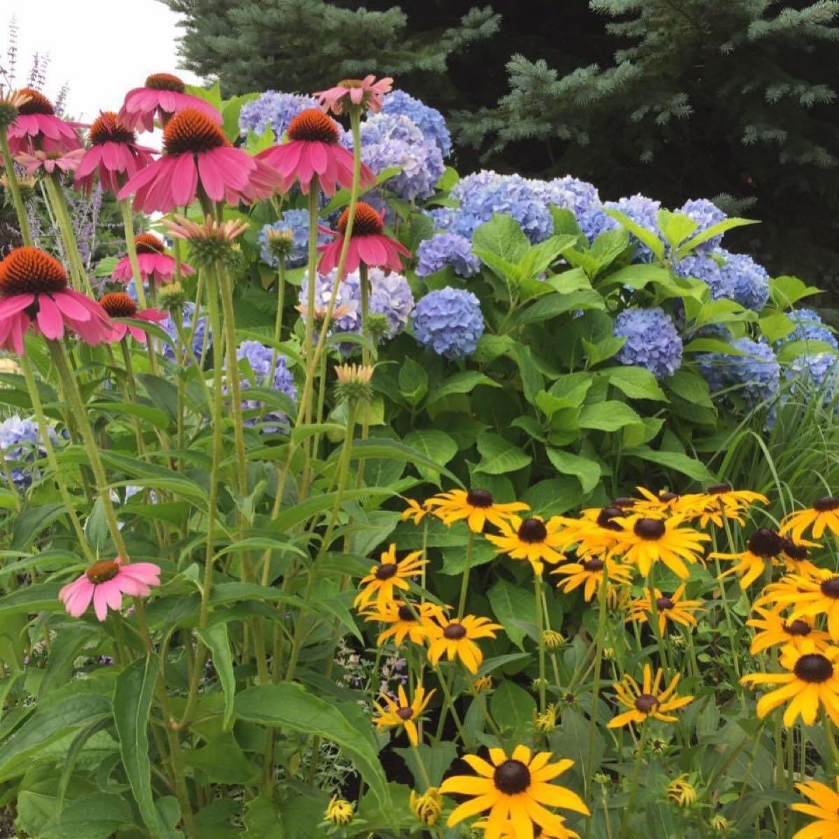 Egan Landscape Group Plymouth, MA Nextdoor