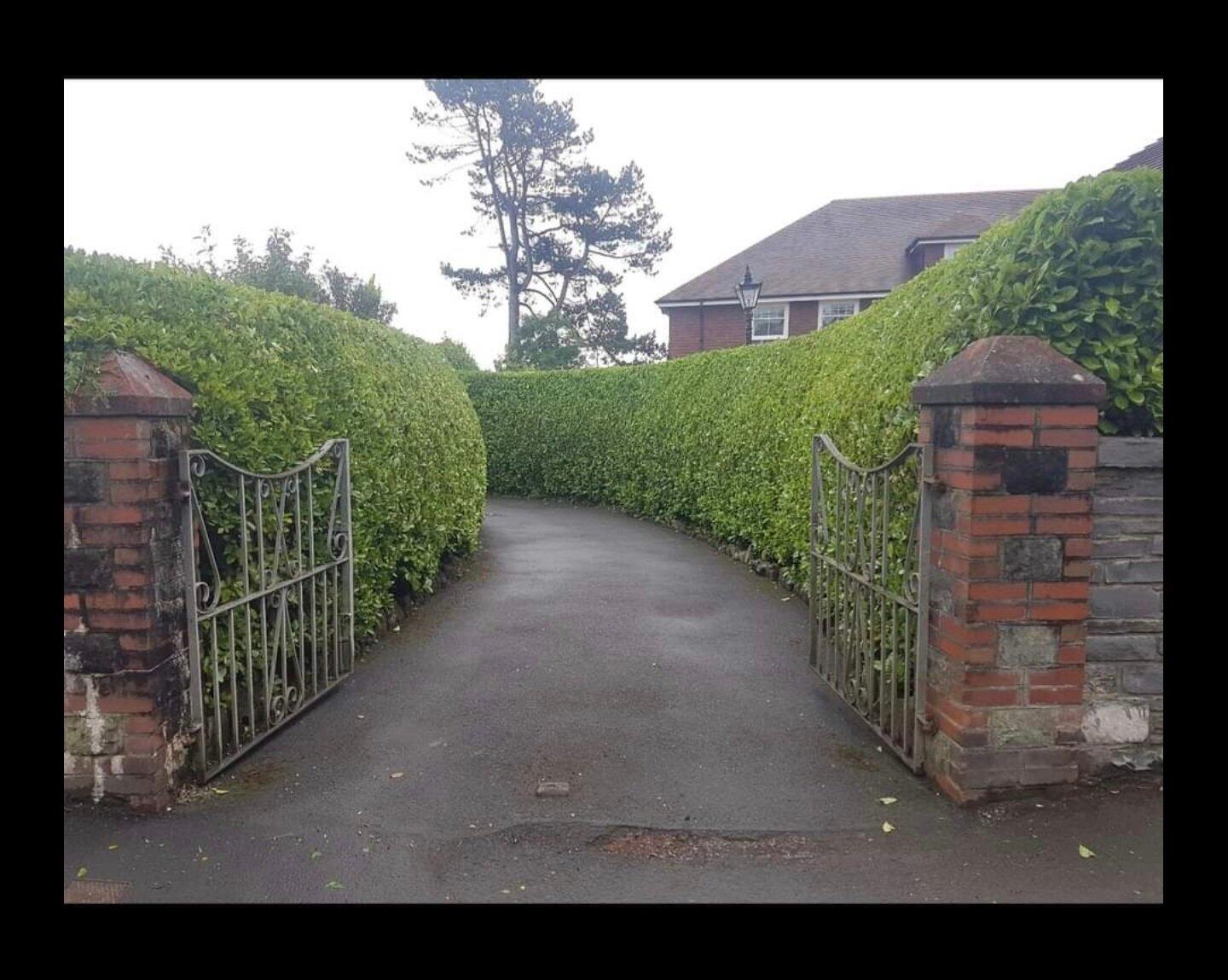 willow blossom garden services and property maintenance Swansea, GBWLS Nextdoor