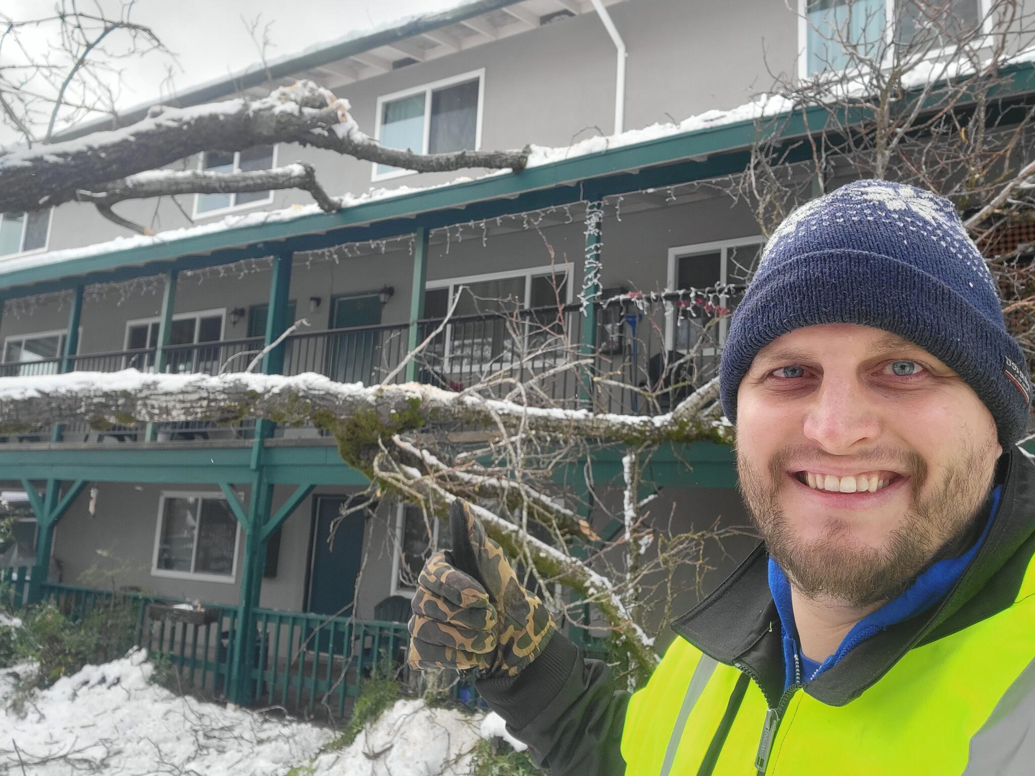 Anything Trees LLC Nextdoor