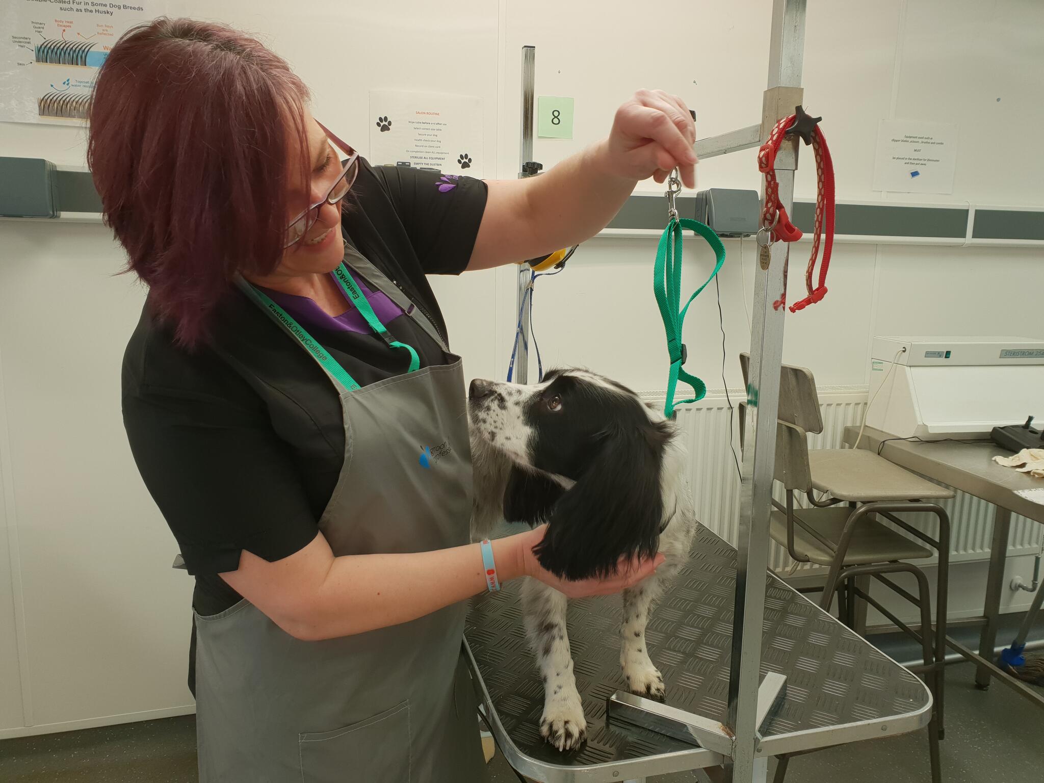 Canine Cuts Newmarket Nextdoor