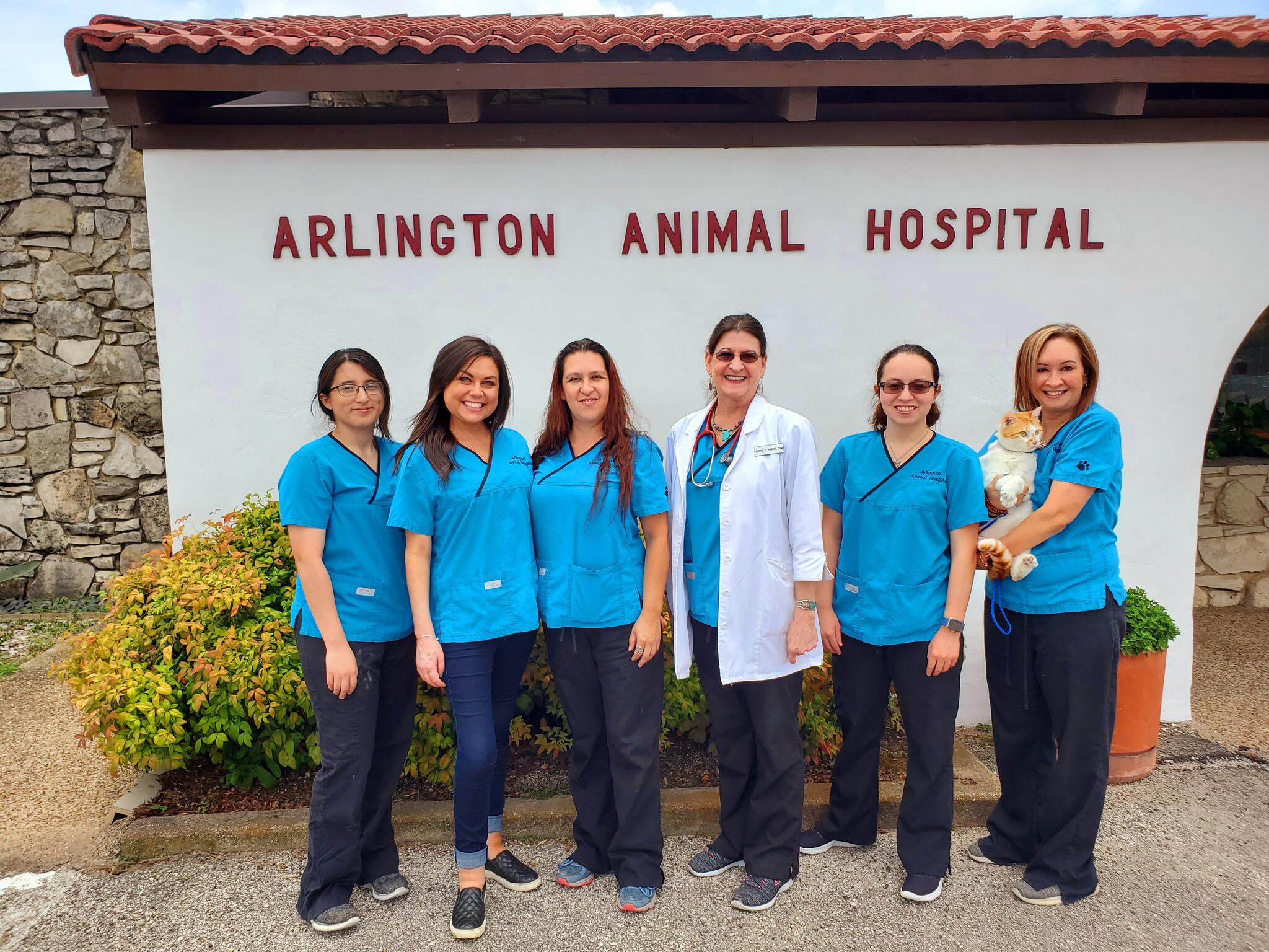 Sam's all pets animal 2024 clinic