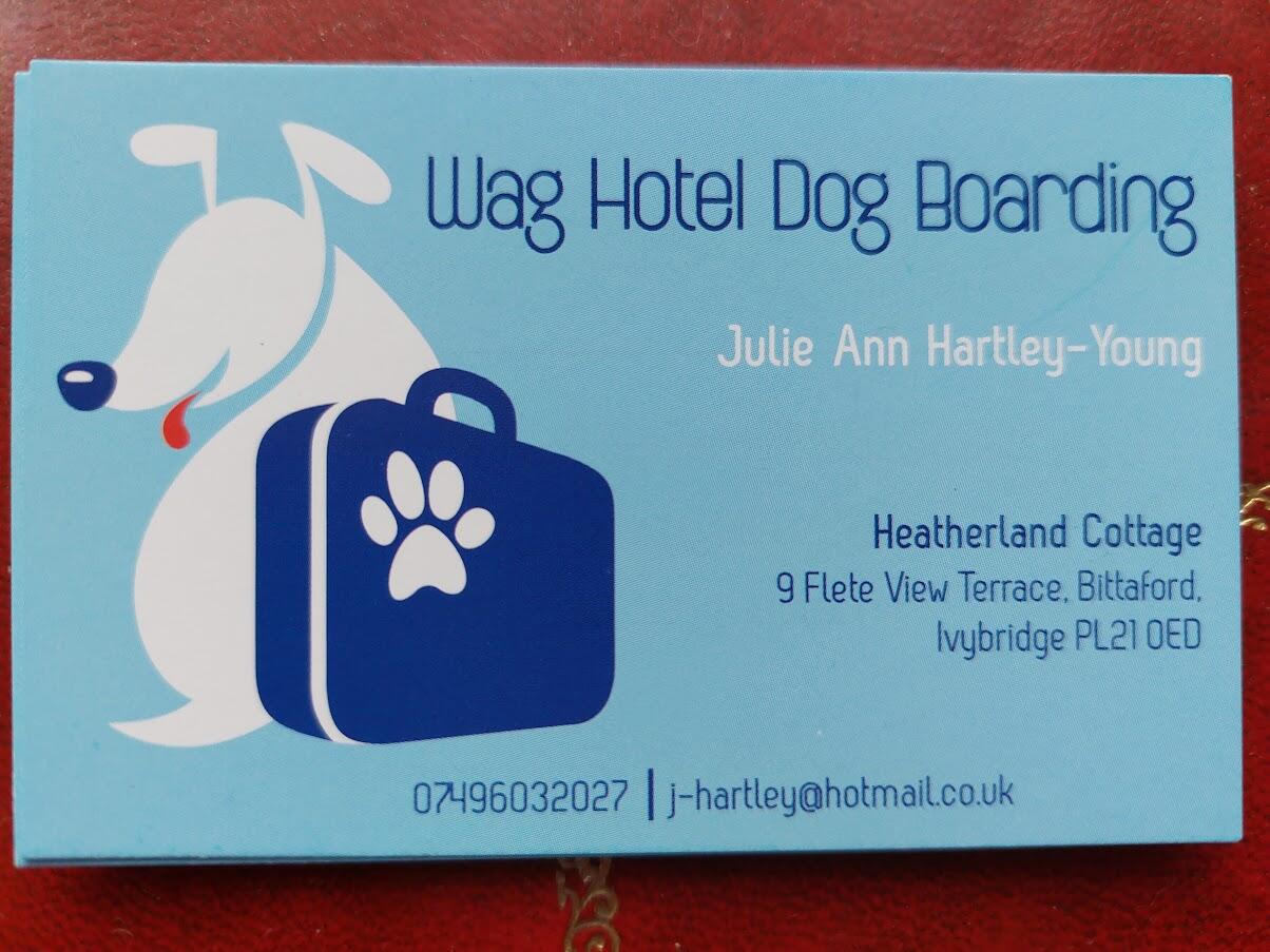 Wag dog hot sale boarding