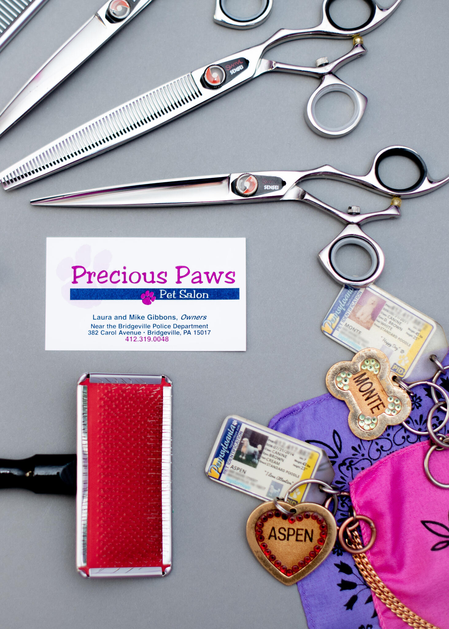 Precious Paws Pet Salon - Bridgeville, PA - Nextdoor