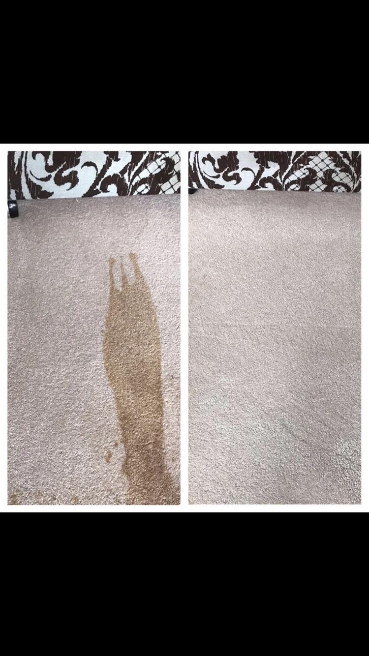 FabriClean Solutions Professional Carpet & Upholstery/ Hard Floor