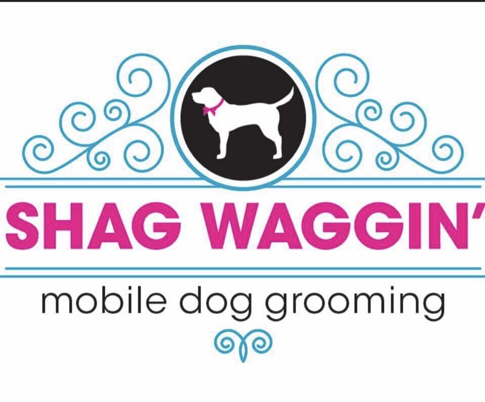 Shaggin waggin sale dog grooming