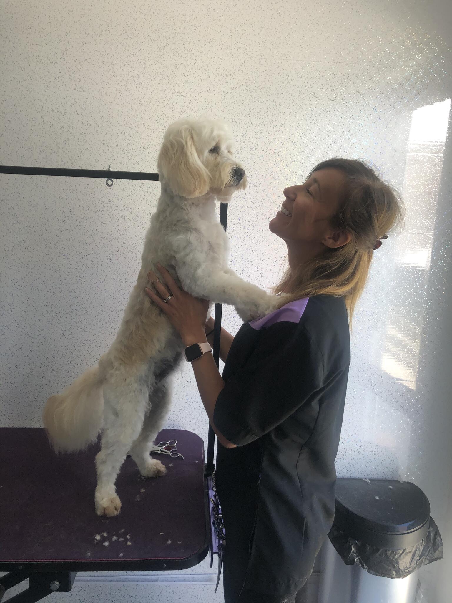 Bow Wow Boutique Dog Grooming Worthing Nextdoor