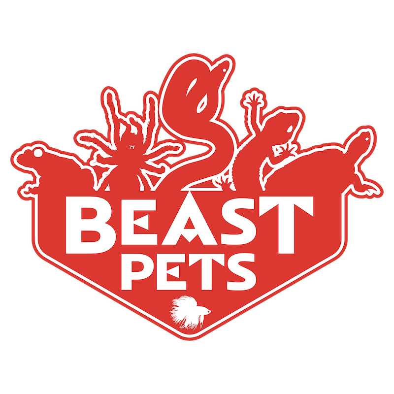 Retail: Beast Pets Vista - We are your one stop shop for reptiles, amphibians, inverts and supplies, bioactive setup and supplies, a full line of live and frozen feeders and much more.
