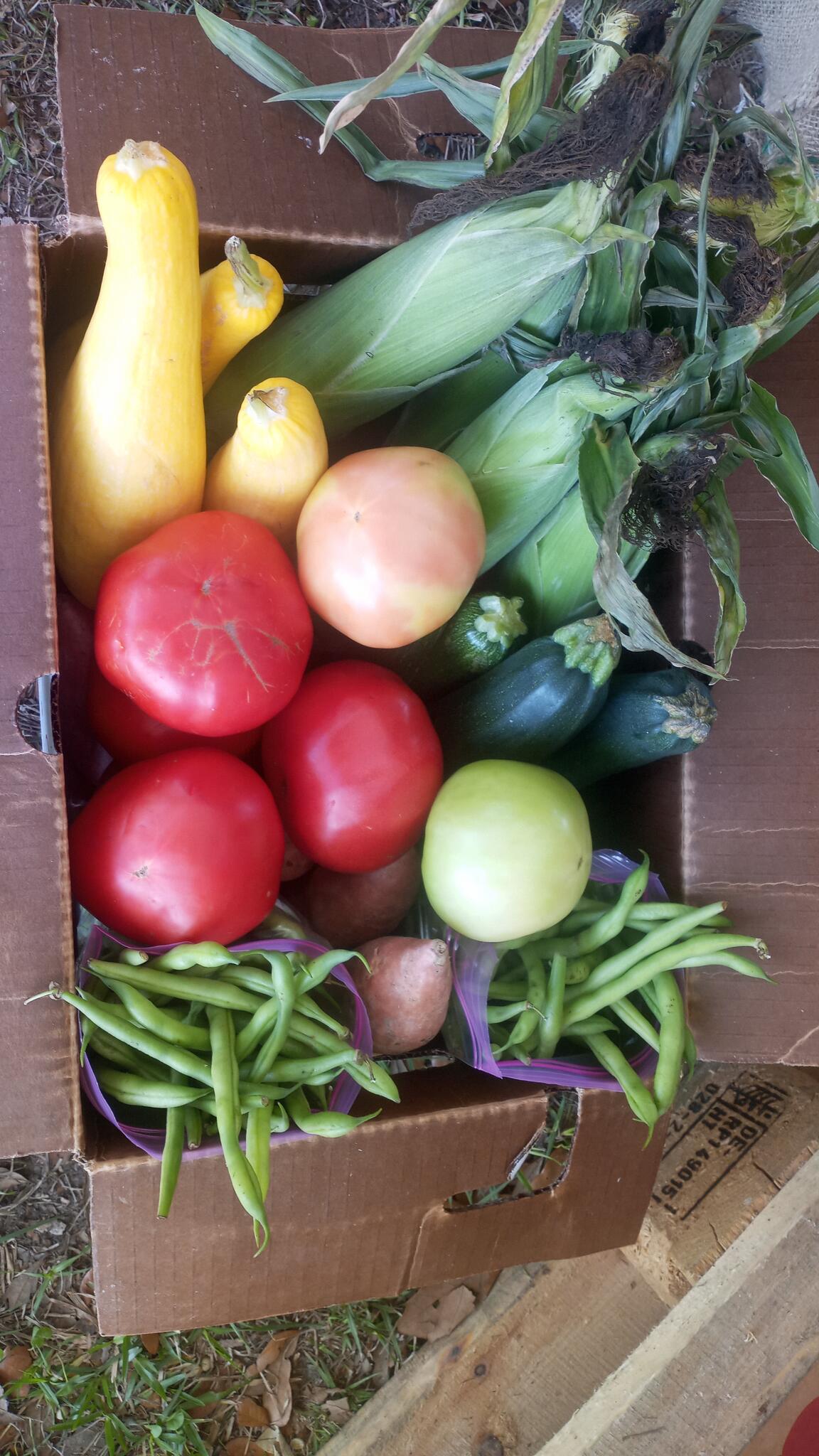 Nano Farms Johns Island, SC Nextdoor