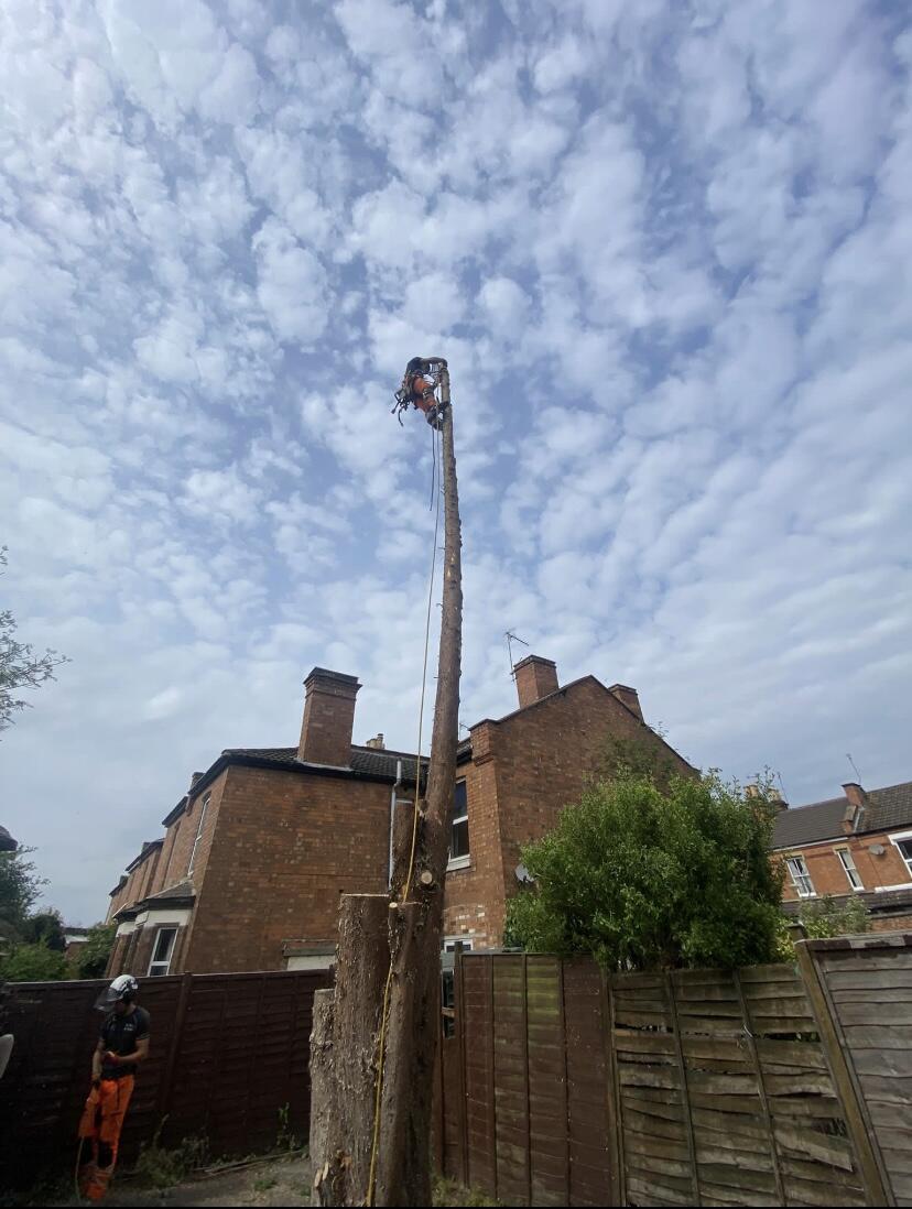 D.J Trees & Hedges Ltd Warwick, GBENG Nextdoor