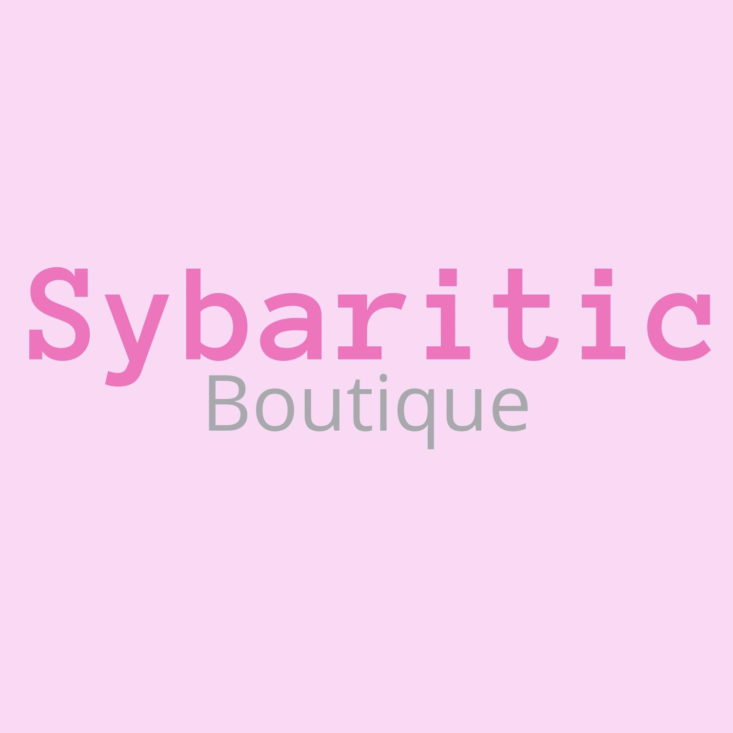 Sybaritic Boutique Bear DE Nextdoor