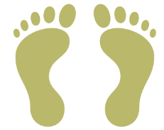 Olive Foot Clinic - Bolton - Nextdoor